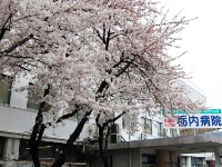 医療法人 巖心会 栃内病院・求人番号323898