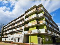 社会福祉法人玉美福祉会 デイサービスセンター和光・求人番号10123959