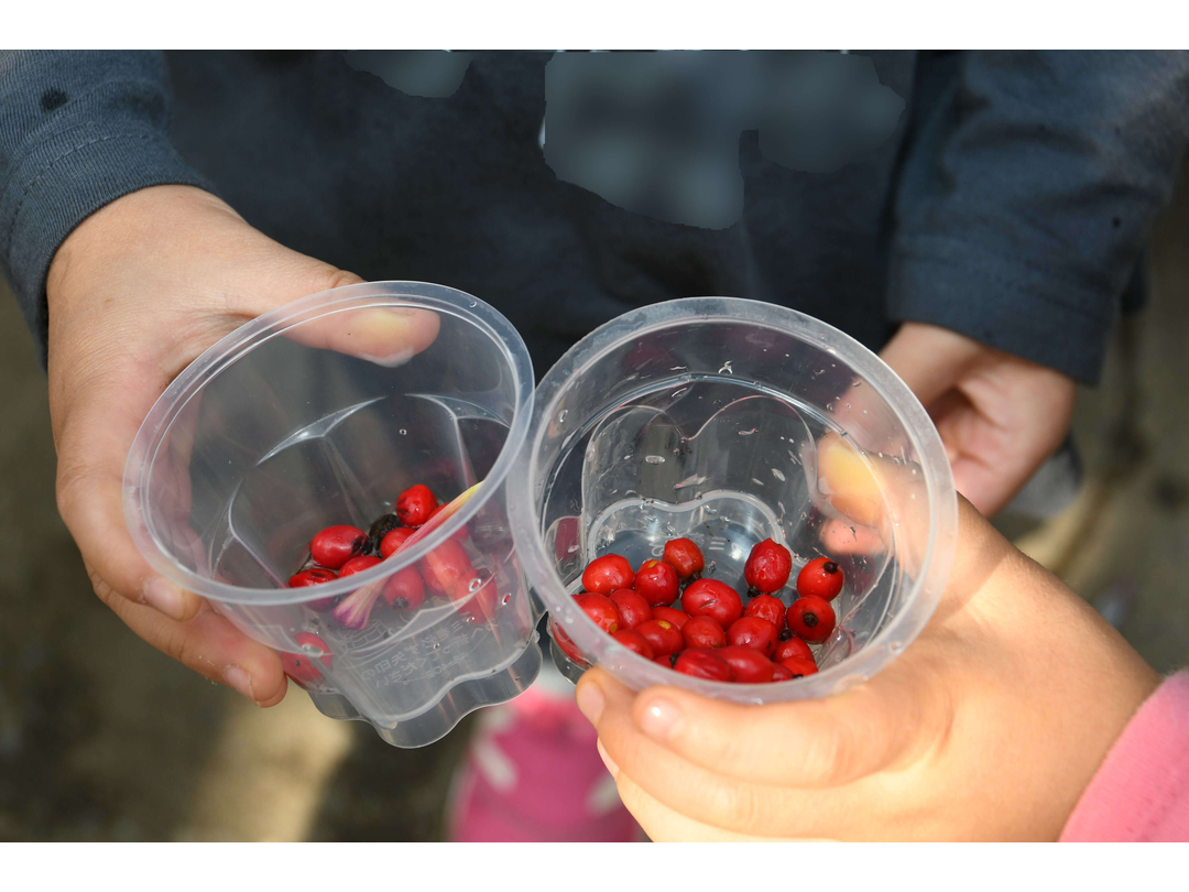 小平若竹幼稚園