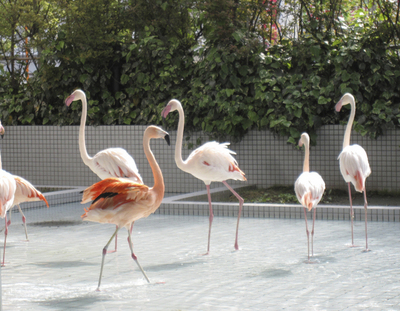 医療法人社団石橋内科　広畑センチュリー病院・求人番号10144956