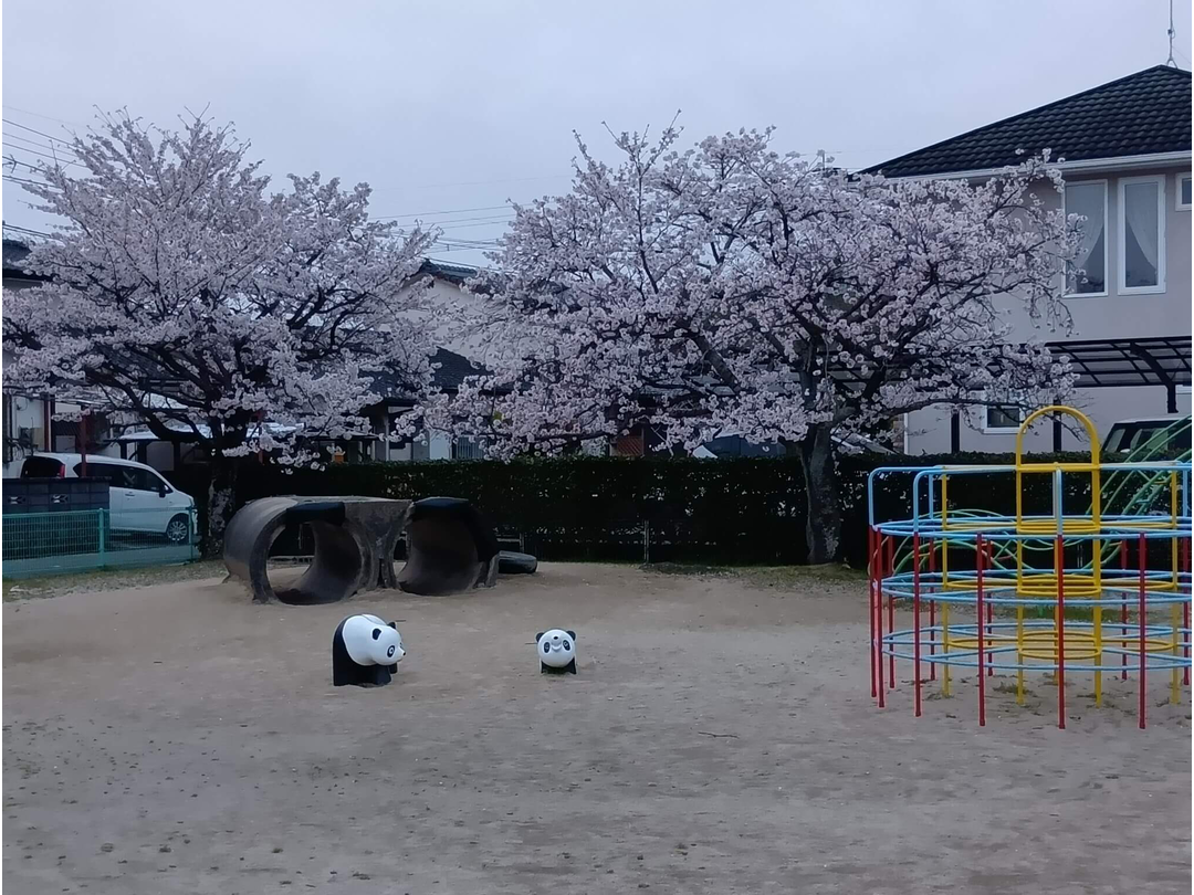 いわまつ保育園