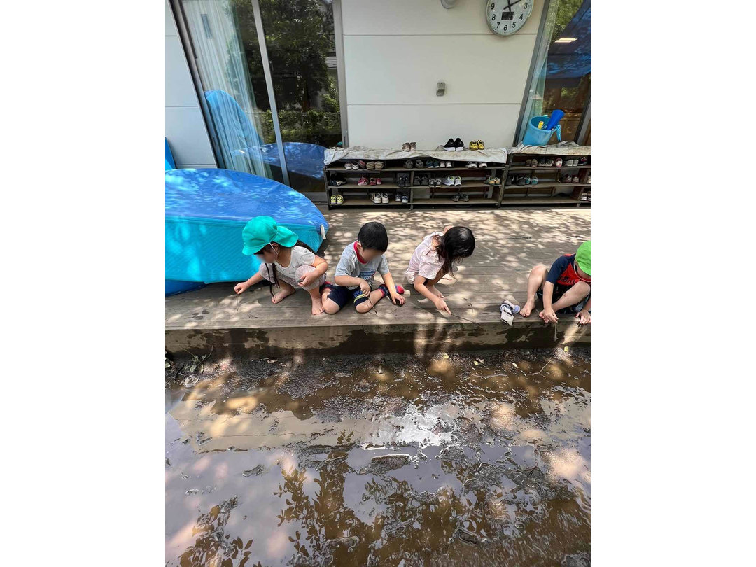 社会福祉法人土と愛 土と愛子供の家保育所第2・求人番号10177086