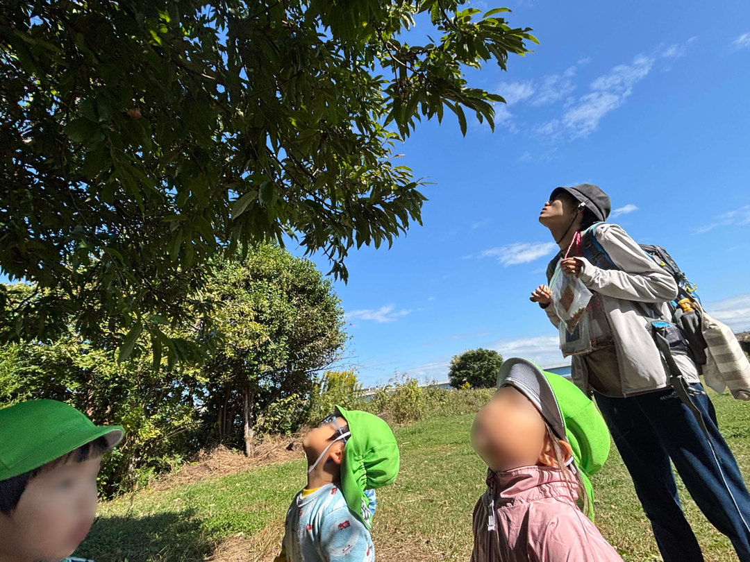 特定非営利活動法人Ｌｕｃｅ Luce陽だまりの家保育園 綱島・求人番号10182600