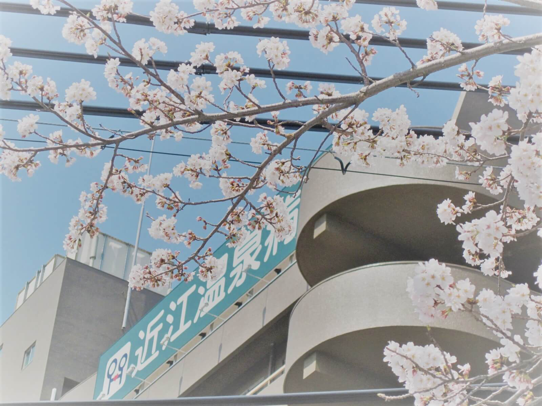 医療法人恒仁会　近江温泉病院・求人番号10234770