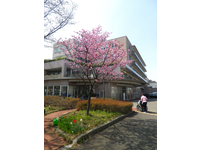 医療法人社団東光会　小平中央リハビリテーション病院・求人番号10275701