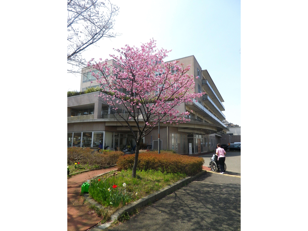 医療法人社団東光会　小平中央リハビリテーション病院・求人番号10275701