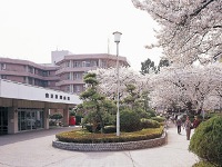 東芝林間病院・求人番号217956