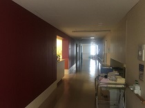 医療法人親仁会　佐藤病院・求人番号246105