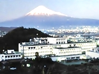 共立蒲原総合病院・求人番号272954