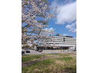 愛媛県立新居浜病院・求人番号319136