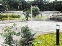 社会福祉法人あわの会　特別養護老人ホーム幸豊苑・求人番号460135