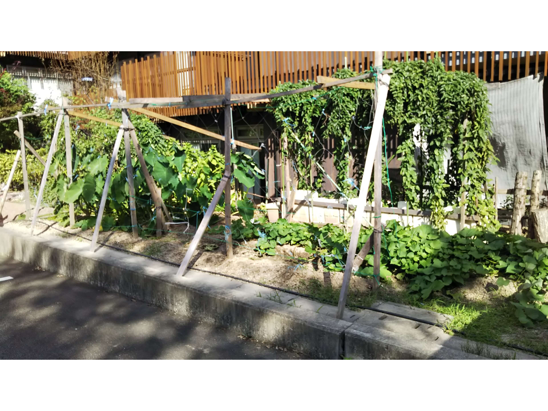 社会福祉法人健光園 健光園あらしやま訪問看護ステーション・求人番号528324