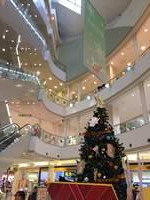 スラージュ内科クリニック・求人番号555938