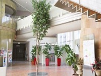 医療法人隆典会 片木脳神経外科・求人番号576412