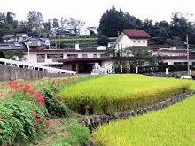 社会福祉法人和楽会 広島市戸山・伴・大塚地域包括支援センター・求人番号578244