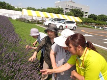 株式会社クリエ デイサービスセンター　ソラティア ・求人番号580459