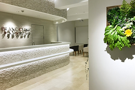 医療法人社団白凛会 BLANC CLINIC名古屋院・求人番号599917