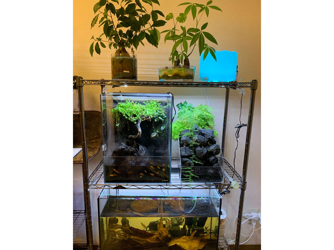 株式会社弥勒 訪問看護ステーション・求人番号644265