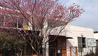 社会福祉法人まるよ会・求人番号660818