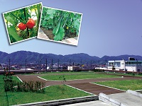 社会福祉法人桜樹会 地域密着型介護老人福祉施設 すず・求人番号692276