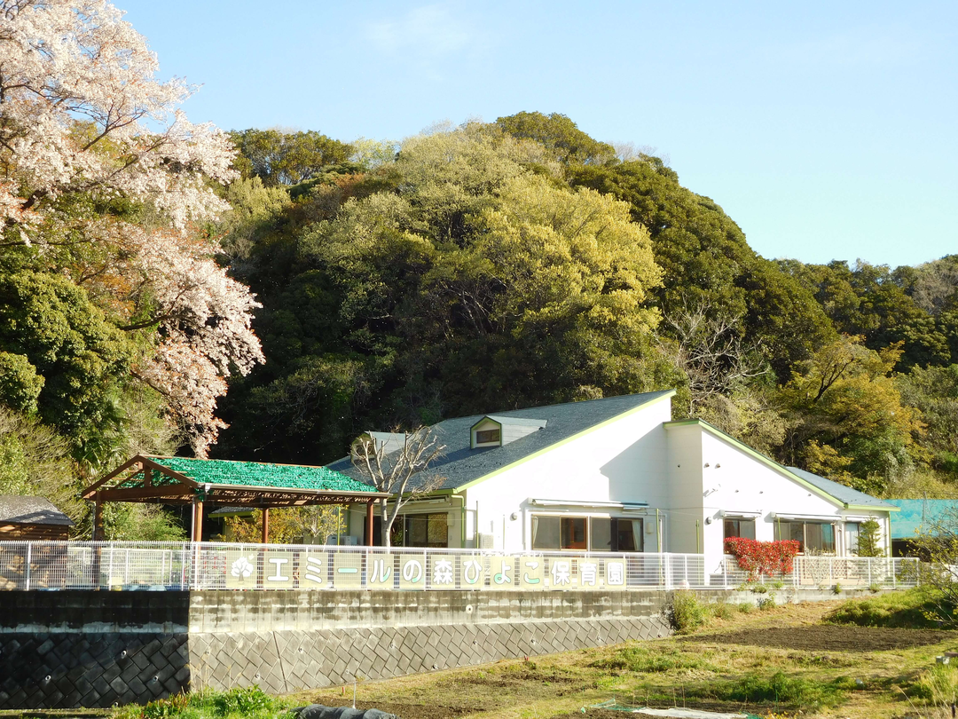 エミールの森 ひよこ保育園（認可）