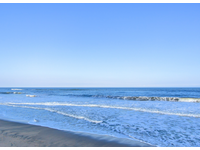 御蔵島村国民健康保険直営御蔵島診療所 【トラベルナース】・求人番号9013100