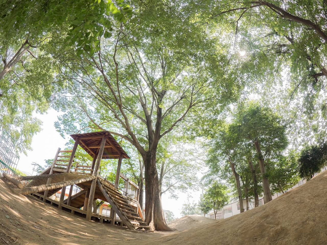 まごやま保育園（認可）