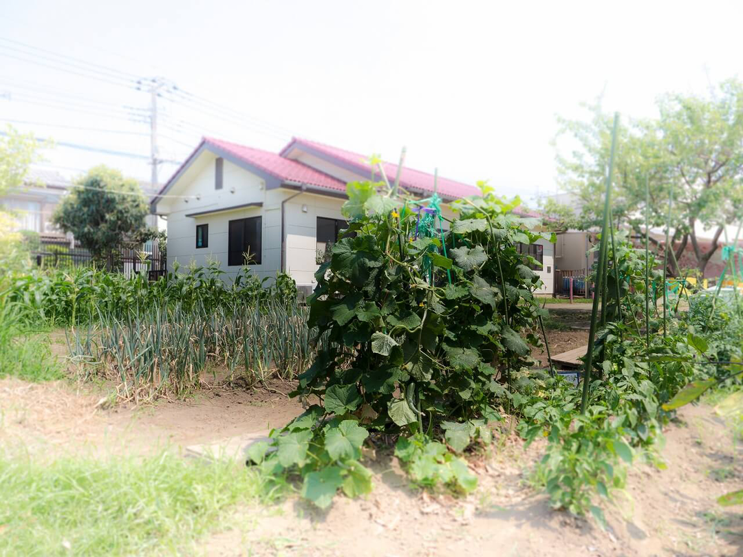 まごやま保育園（認可）