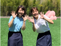 社会福祉法人光聖会 蓮美幼児学園 たにまちナーサリー・求人番号9056532