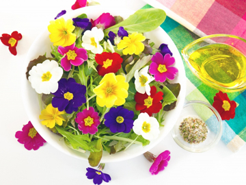 幼保連携型認定こども園　永福こども園