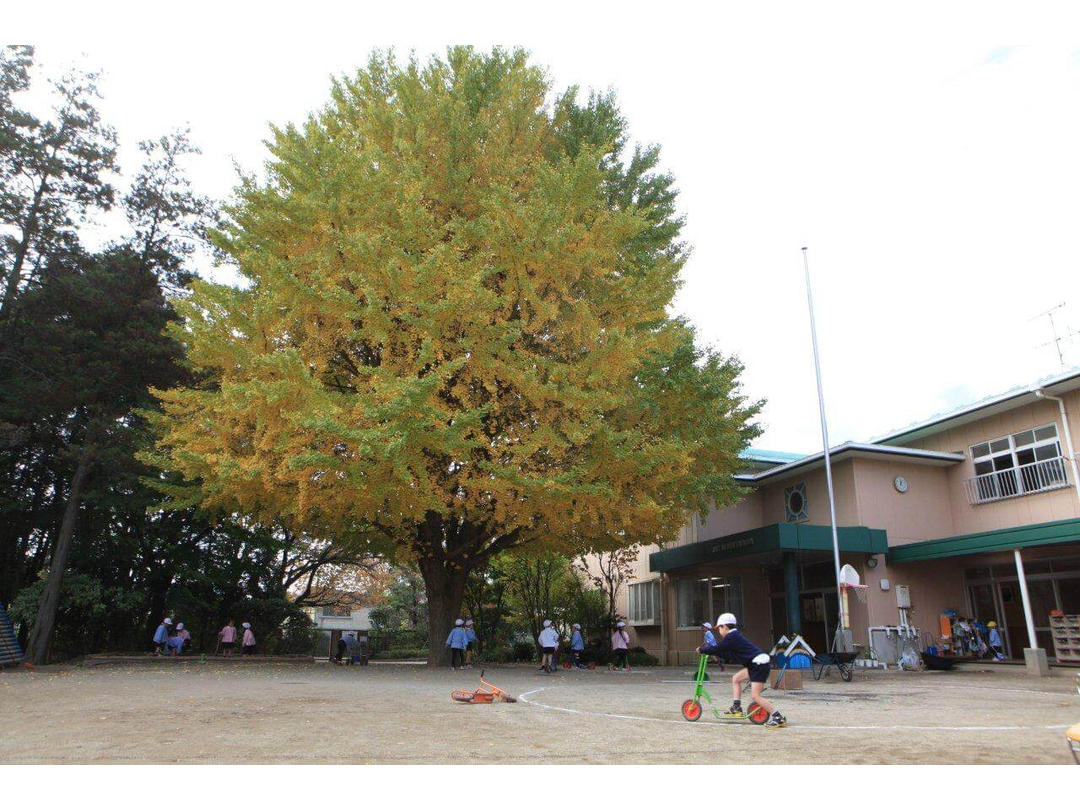 幼保連携型認定こども園　大浜幼稚園