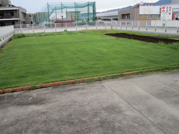 社会福祉法人こすもす こすもぴあ小規模多機能ホーム・求人番号9127618