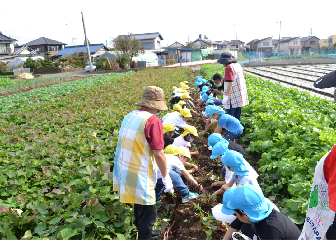 あゆみ保育園（認可）
