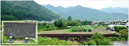 医療法人社団行陵会 介護老人保健施設 博寿苑・求人番号9132292