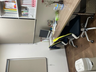 有限会社ハニーレモン レモンサラン＜訪問看護＞・求人番号9689422