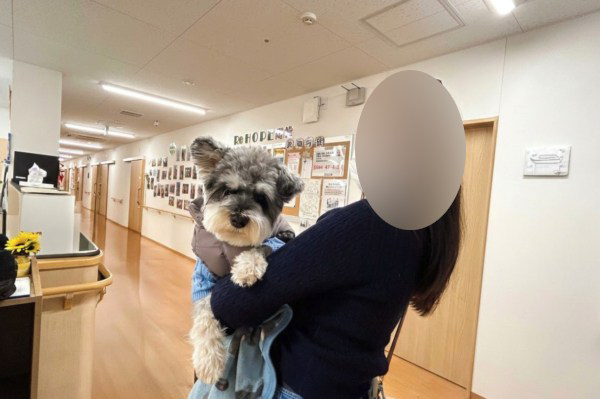 株式会社シーユーシー・ホスピス ReHOPE 岡崎・求人番号9765508