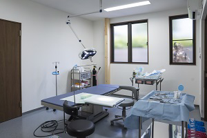 医療法人社団日髙　アイレＨＤクリニック・求人番号9772672