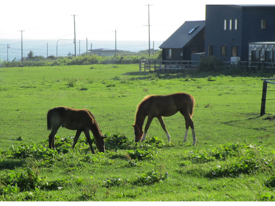 医療法人讃生会　介護老人保健施設浦河緑苑・求人番号9786163
