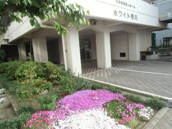 社会福祉法人市川会 特別養護老人ホームホワイト市川・求人番号9892159